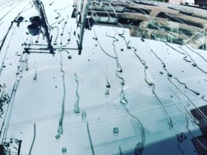 HIKARI WINDOW コーティング @San Diego USA