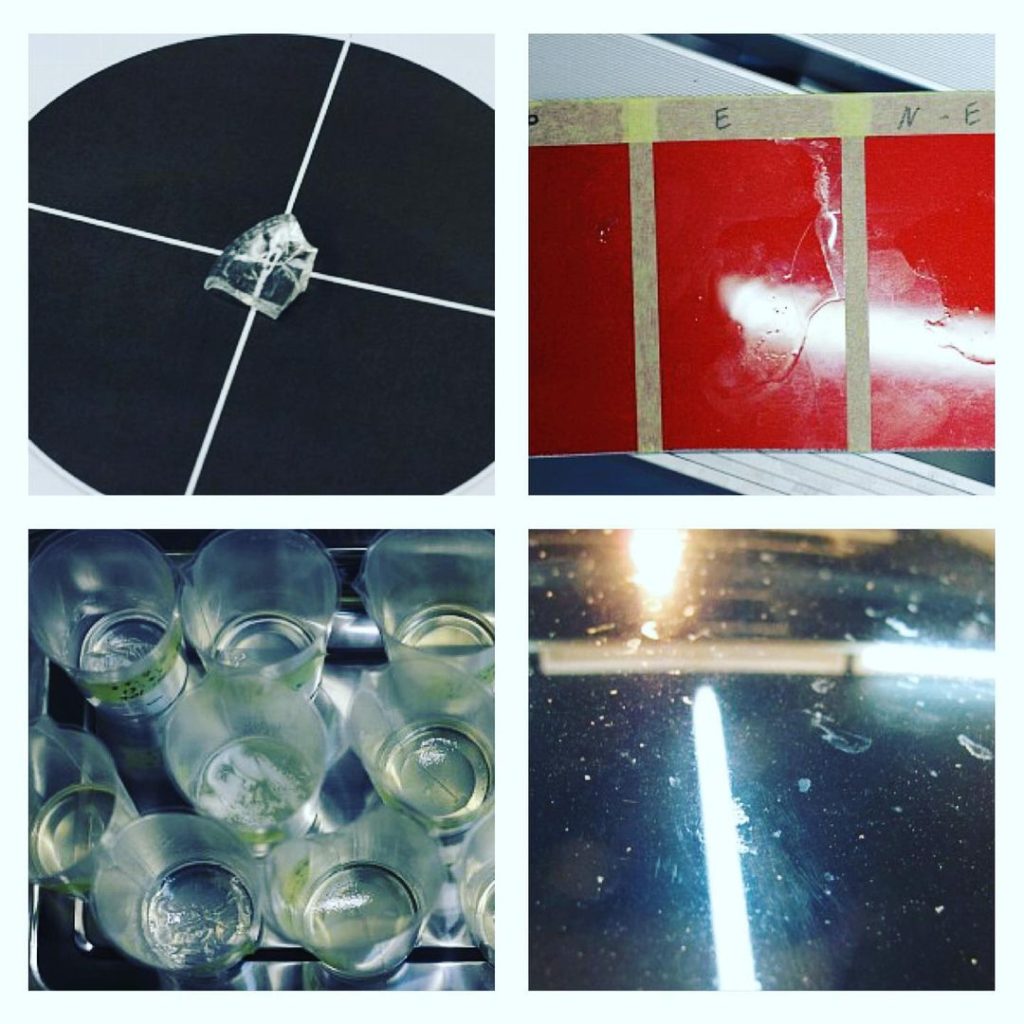 All Hikari Products pass independent expertises 