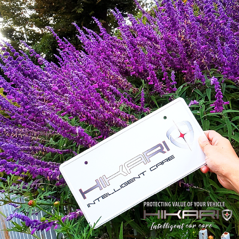 Autumn is in the air.