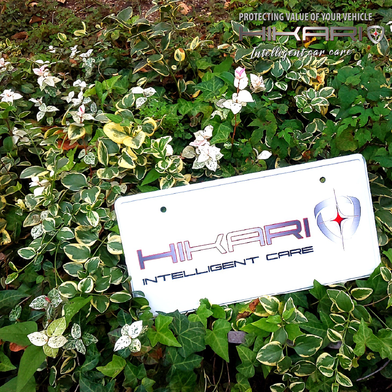 Autumn is in the air.