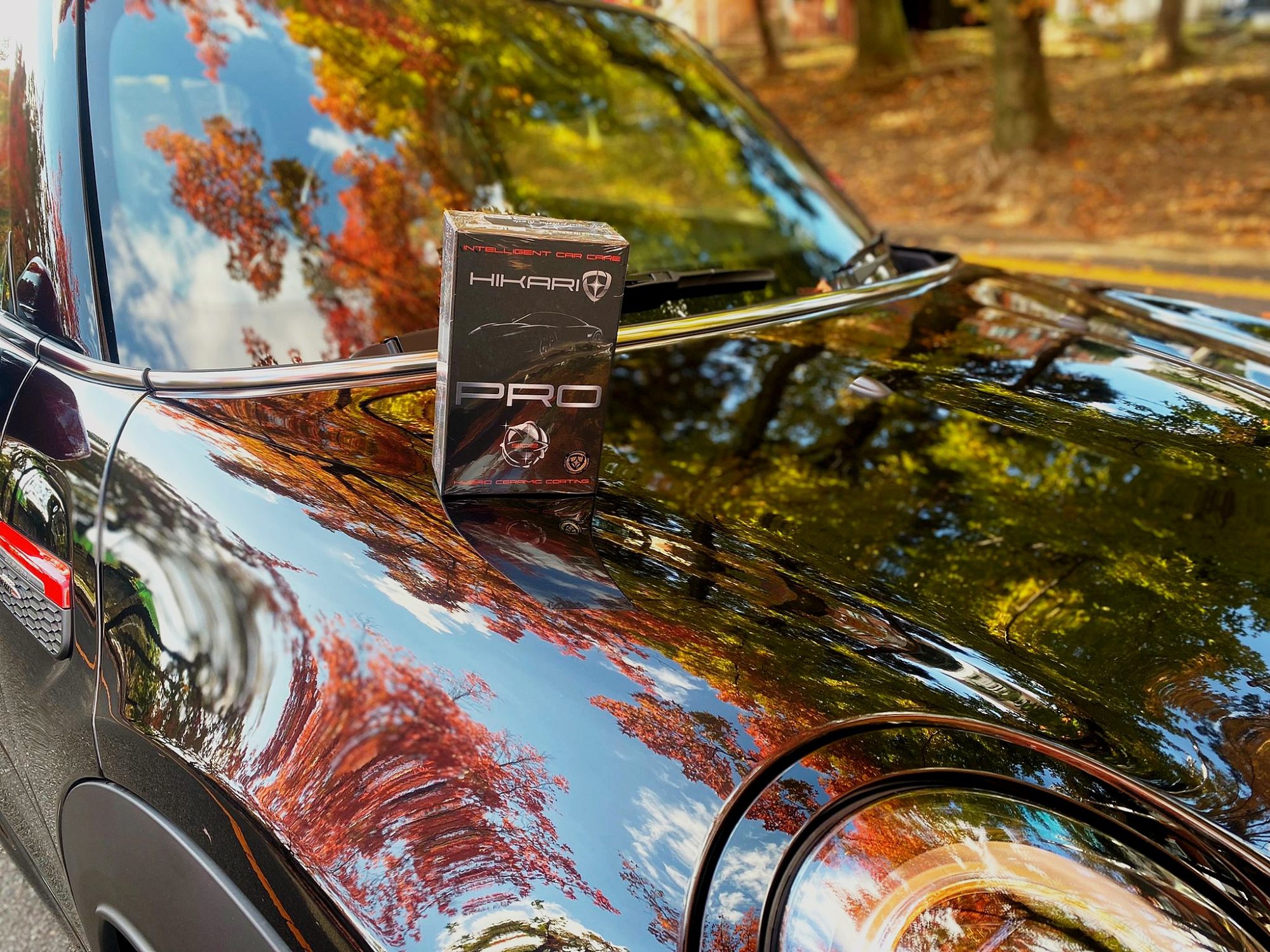 HIKARI PRO x MINI x AUTUMN LEAVES