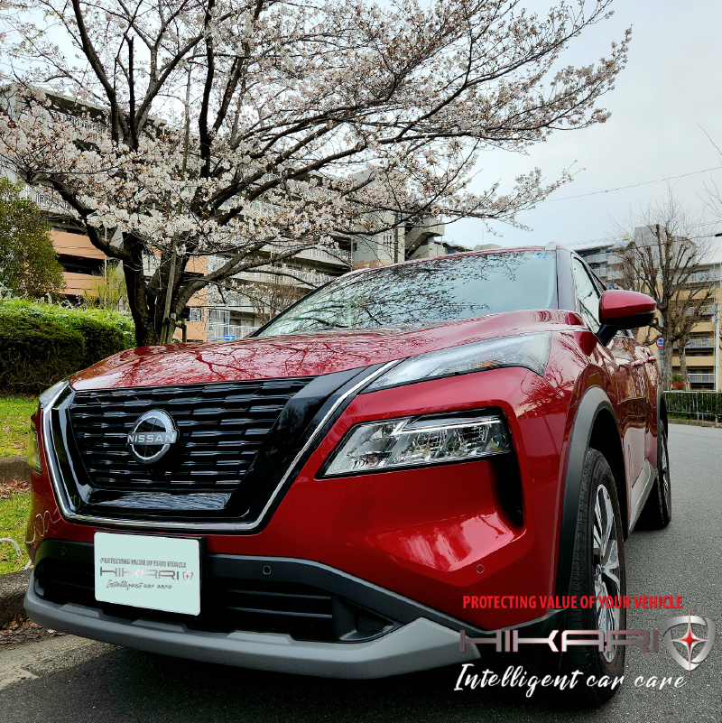 Today is cherry blossom day @ JAPAN 🇯🇵