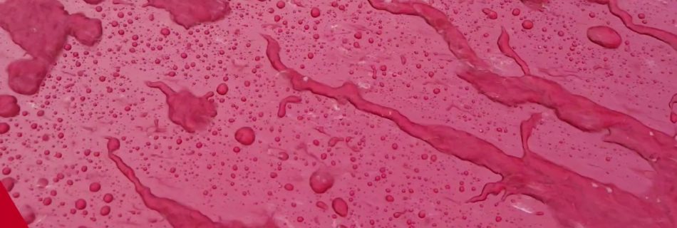 Easily wash away any dirt only water that damages your car