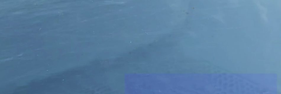 Stubborn stains are instantly repelled. @ JAPAN 