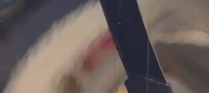 Even if it get hurt, It can do it again